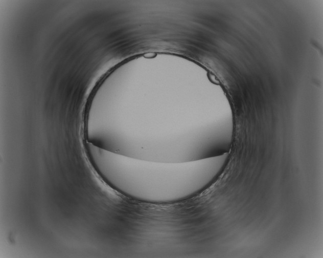 X0000098101136200804251358