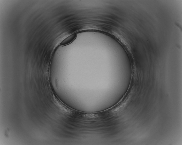X0000098101137200804251358