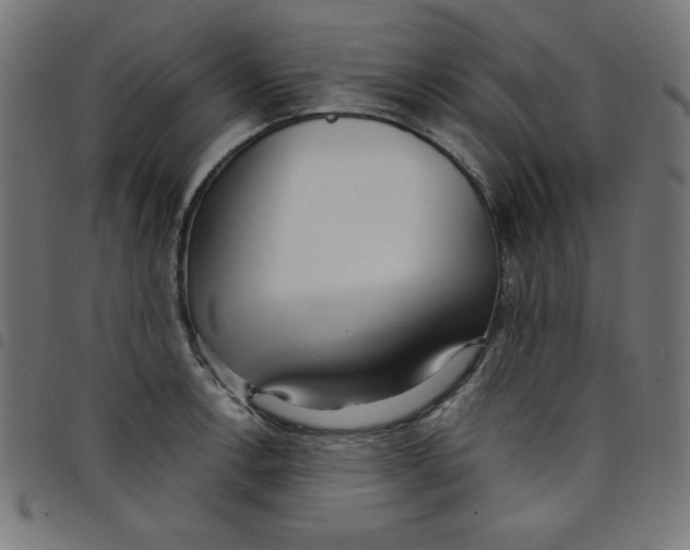 X0000098101138200804251358