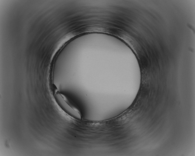 X0000098101139200804251358