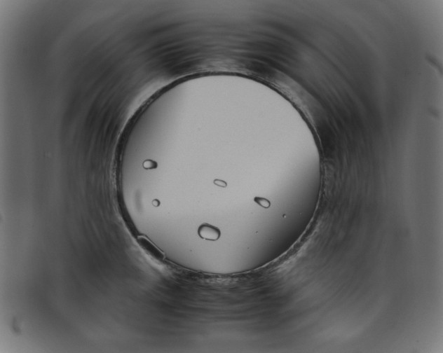 X0000098101141200804251358