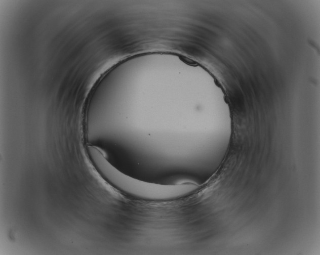 X0000098101142200804251358