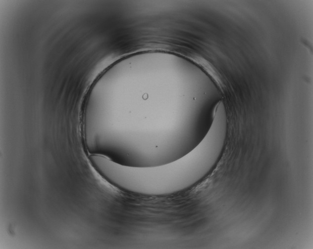 X0000098101143200804251358