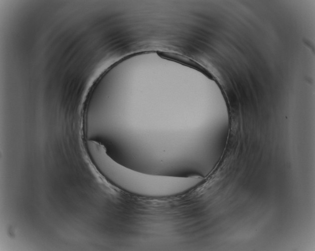 X0000098101144200804251358