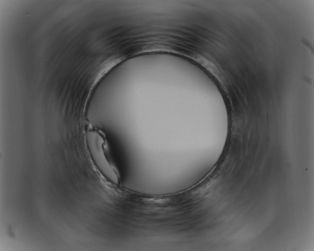 X0000098101145200804251358