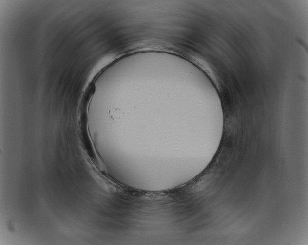 X0000098101146200804251358