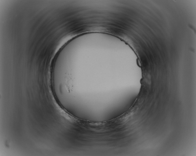 X0000098101147200804251358