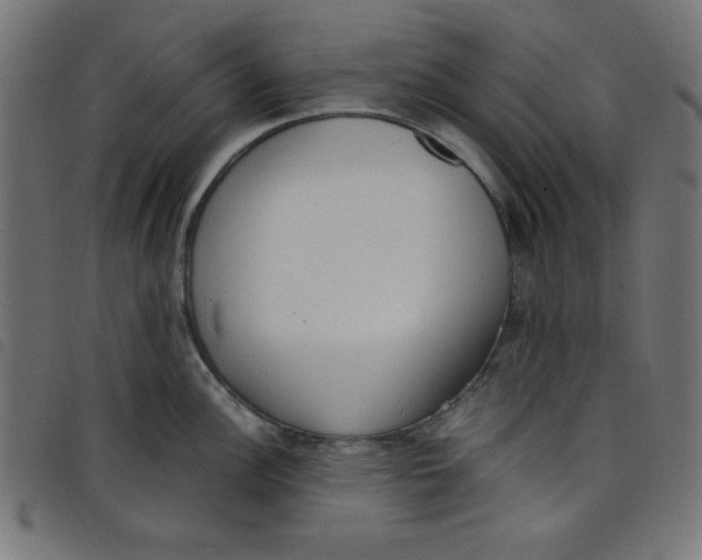 X0000098101148200804251358