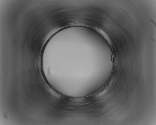 X0000098101149200804251358