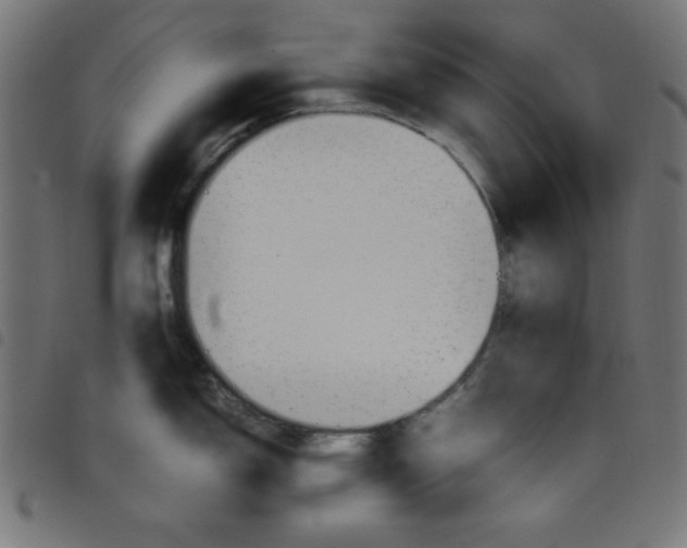 X0000098101150200804251358