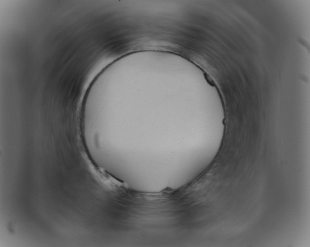 X0000098101152200804251358