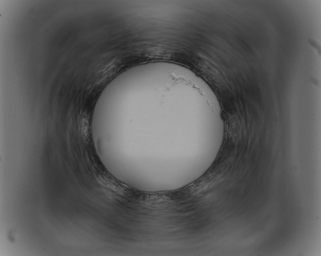 X0000098101154200804251358