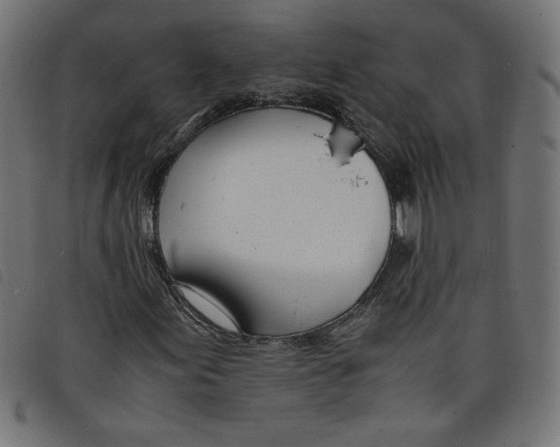 X0000098101155200804251358