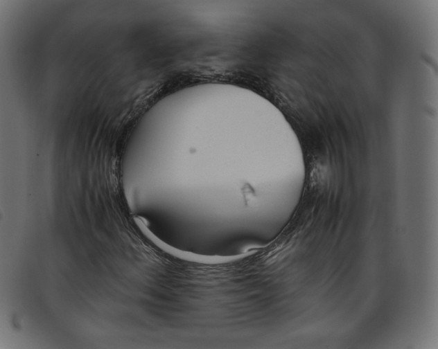 X0000098101156200804251358