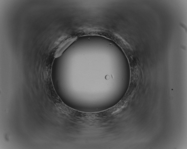X0000098101157200804251358