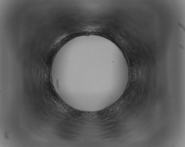X0000098101158200804251358