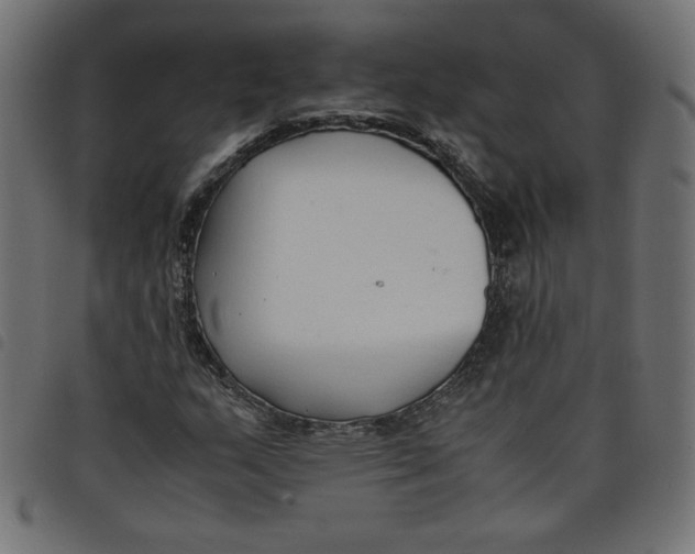 X0000098101159200804251358