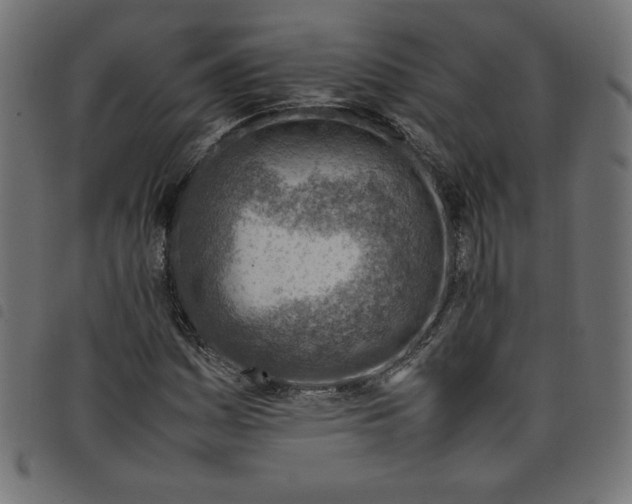 X0000098101161200804251358