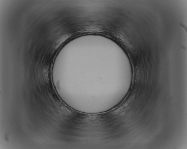 X0000098101162200804251357