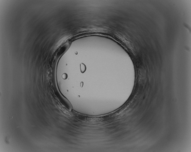 X0000098101163200804251357