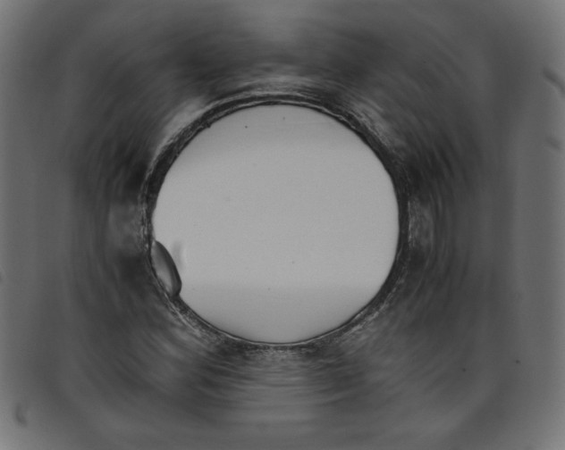 X0000098101164200804251357