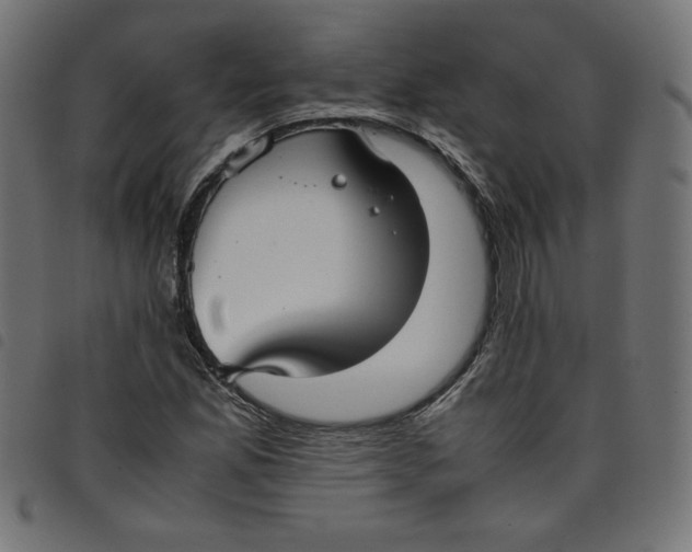 X0000098101165200804251357