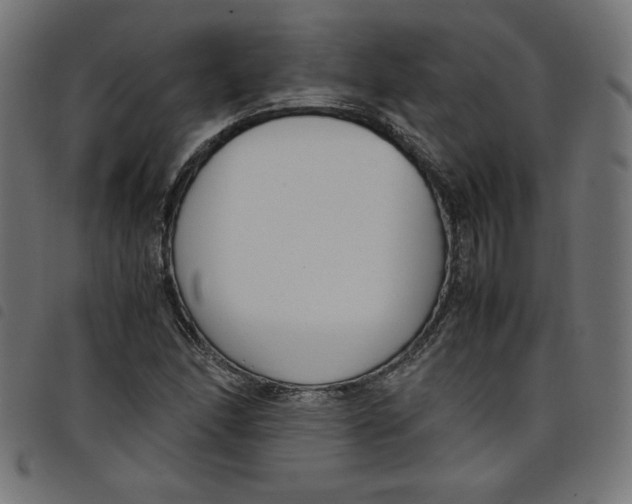 X0000098101166200804251357