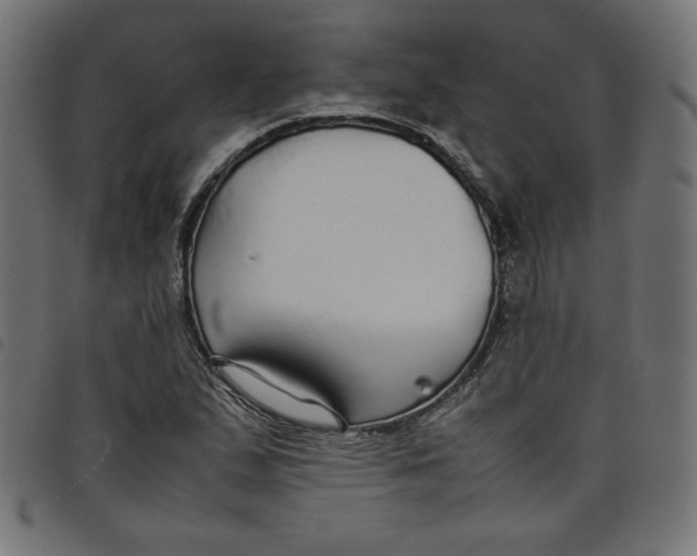 X0000098101167200804251357