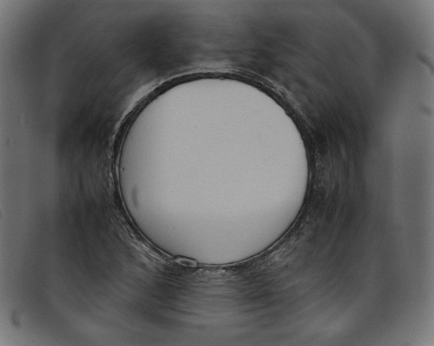 X0000098101168200804251357