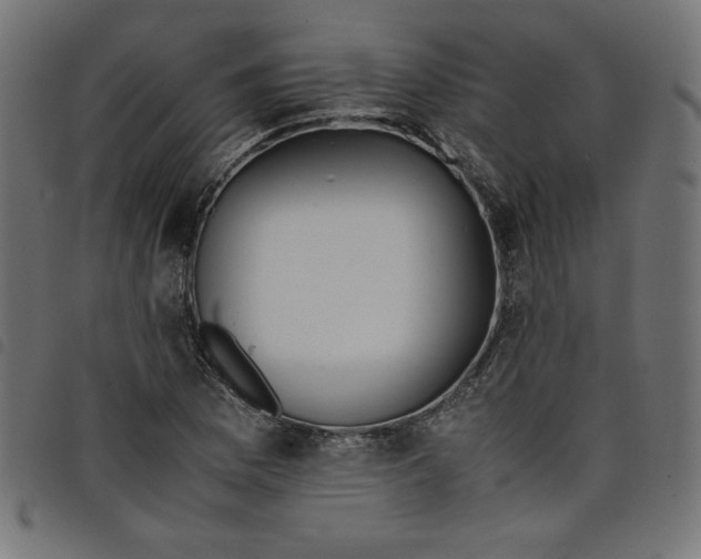 X0000098101169200804251357
