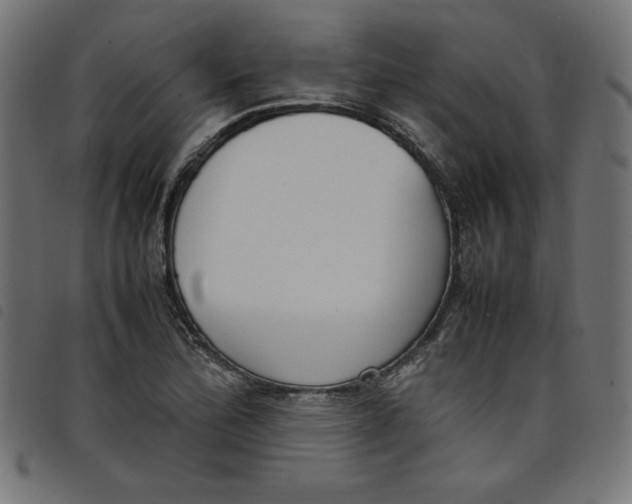 X0000098101172200804251357