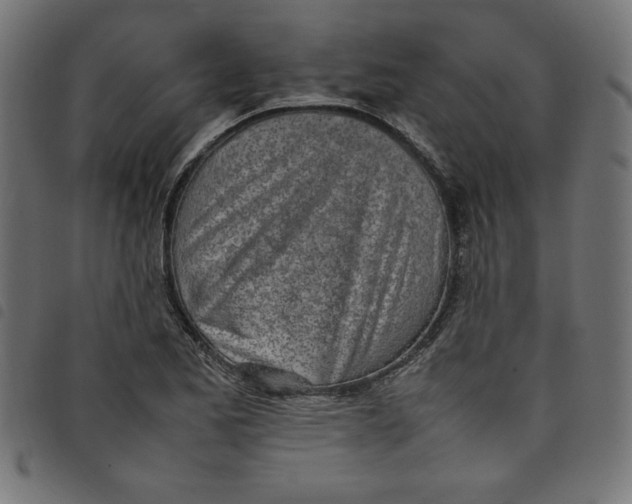 X0000098101173200804251357