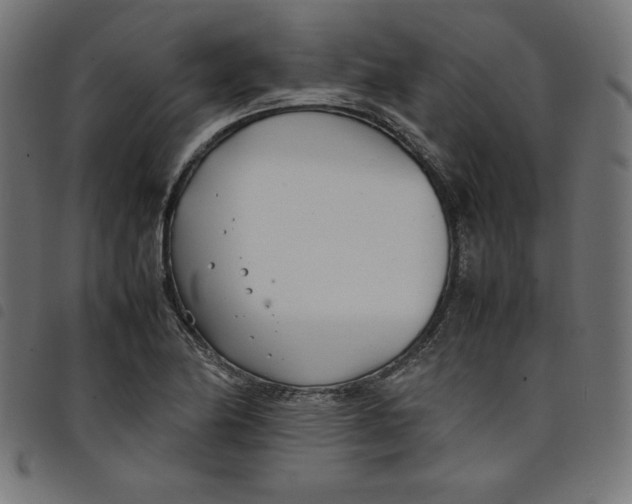 X0000098101174200804251357