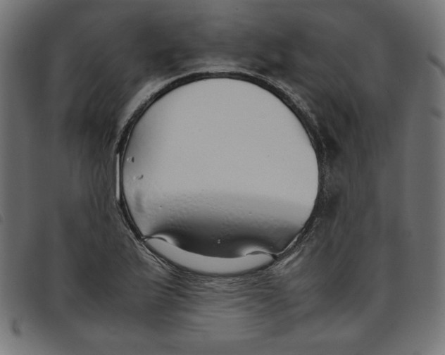 X0000098101175200804251357