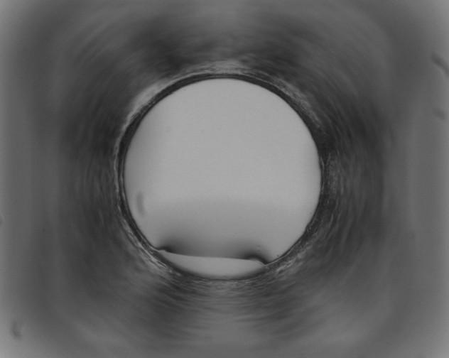 X0000098101176200804251357