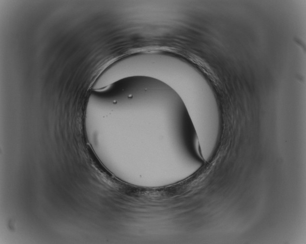 X0000098101177200804251357