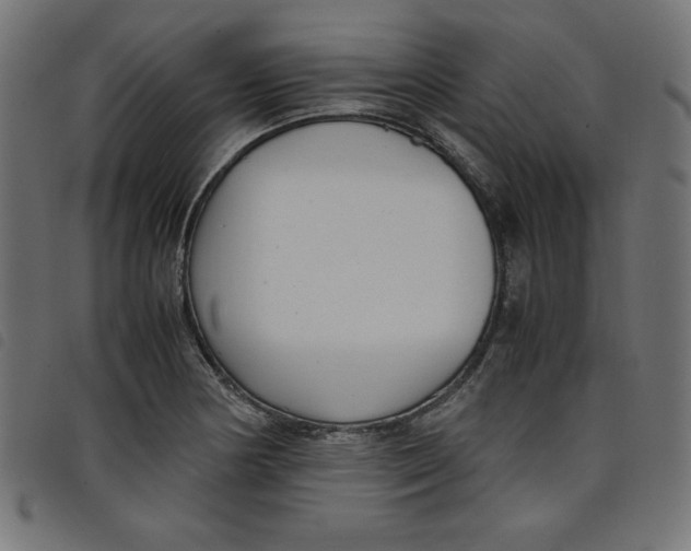 X0000098101178200804251357