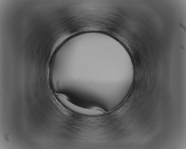 X0000098101179200804251357