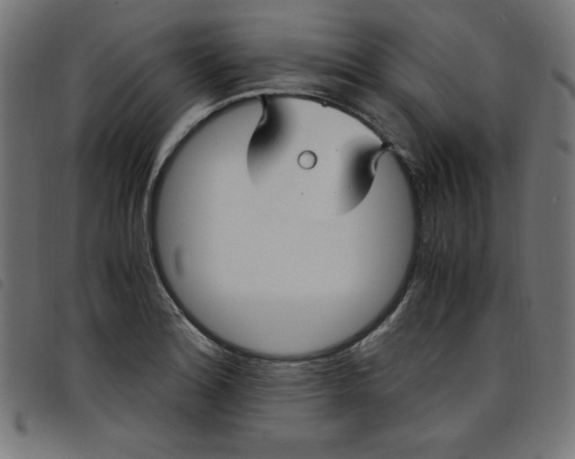X0000098101180200804251357