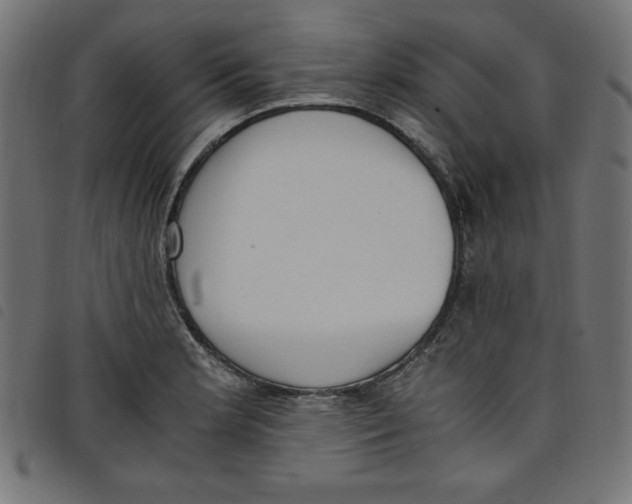 X0000098101181200804251357