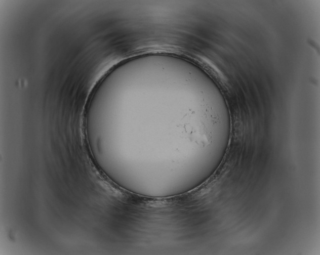 X0000098101182200804251357
