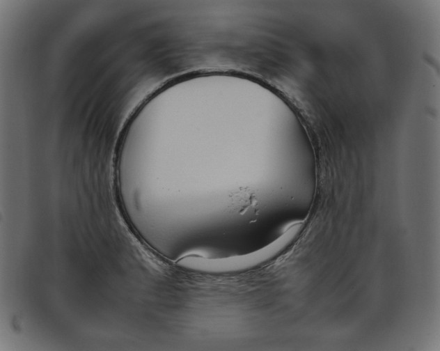 X0000098101183200804251357