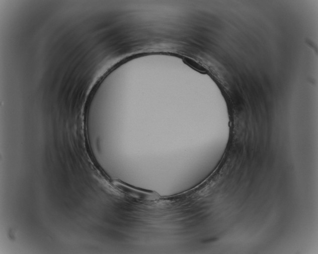 X0000098101184200804251357