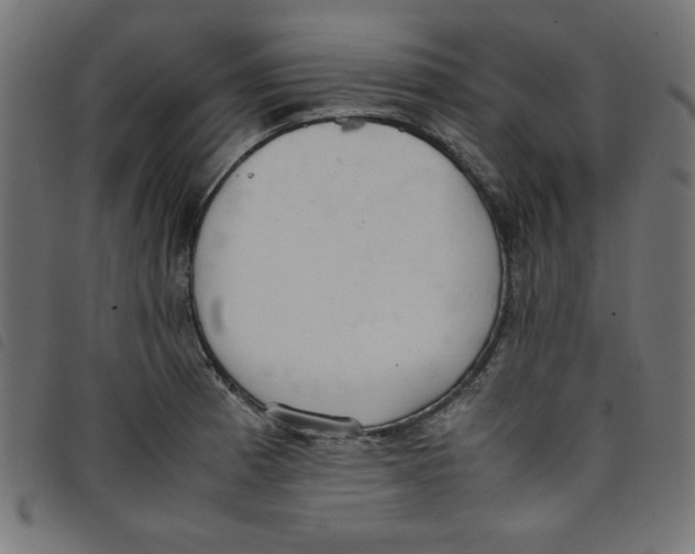 X0000098101185200804251357