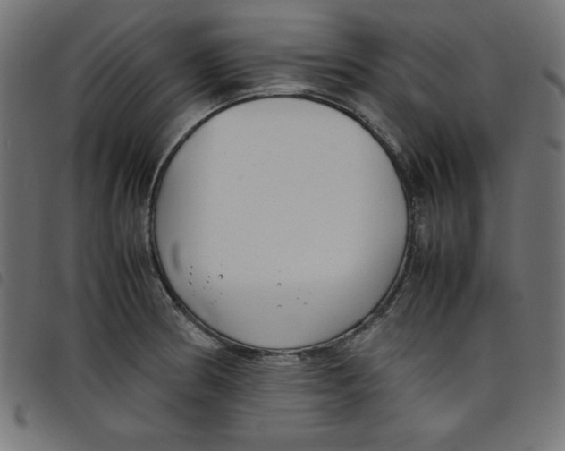 X0000098101186200804251357