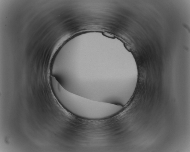 X0000098101188200804251357