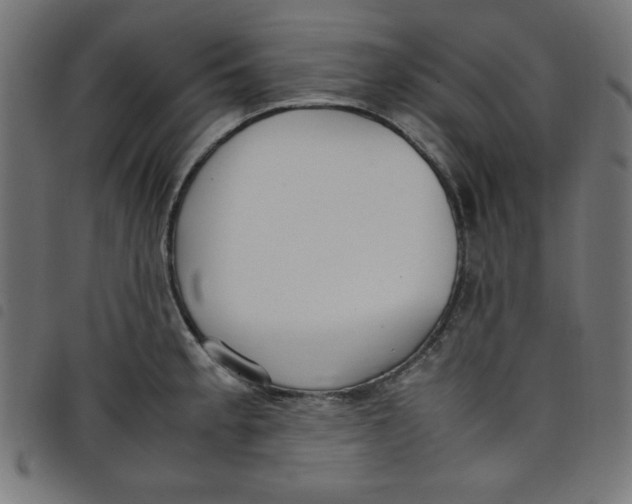X0000098101189200804251357