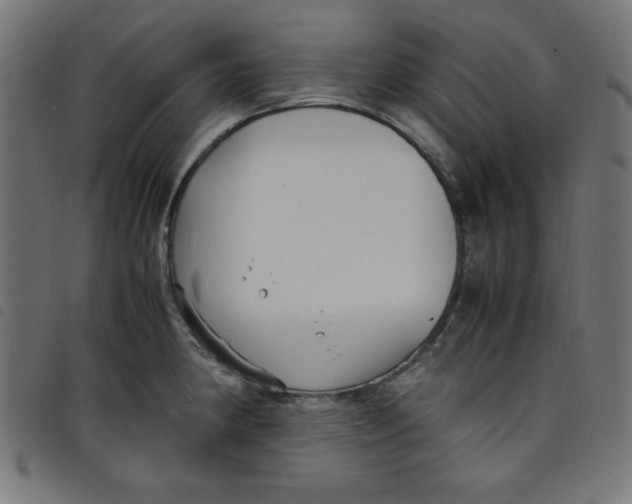 X0000098101190200804251357