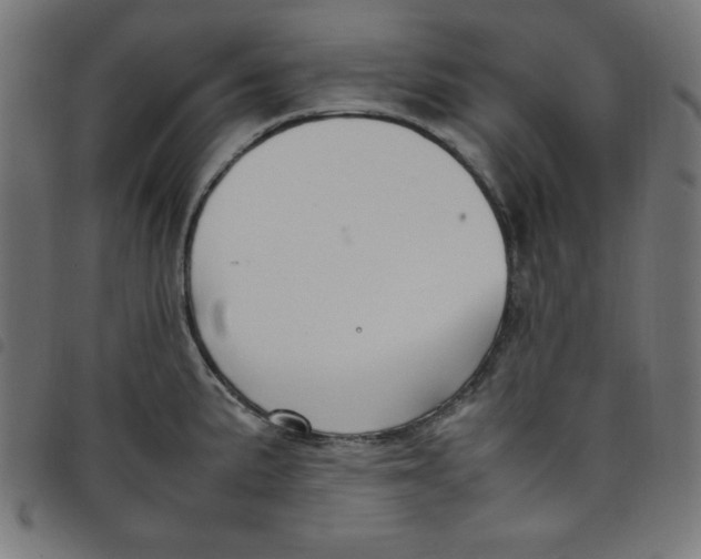 X0000098101191200804251357
