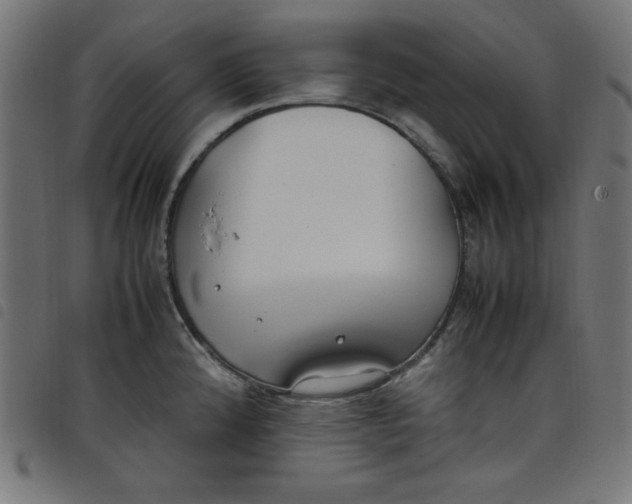 X0000098101192200804251357